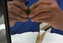 Certified Hand Therapy restores the brain's homunculus cortical activation ensures accurate tool use